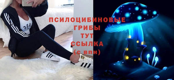 винт Покачи