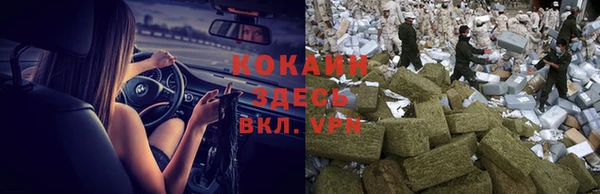 крисы Пересвет